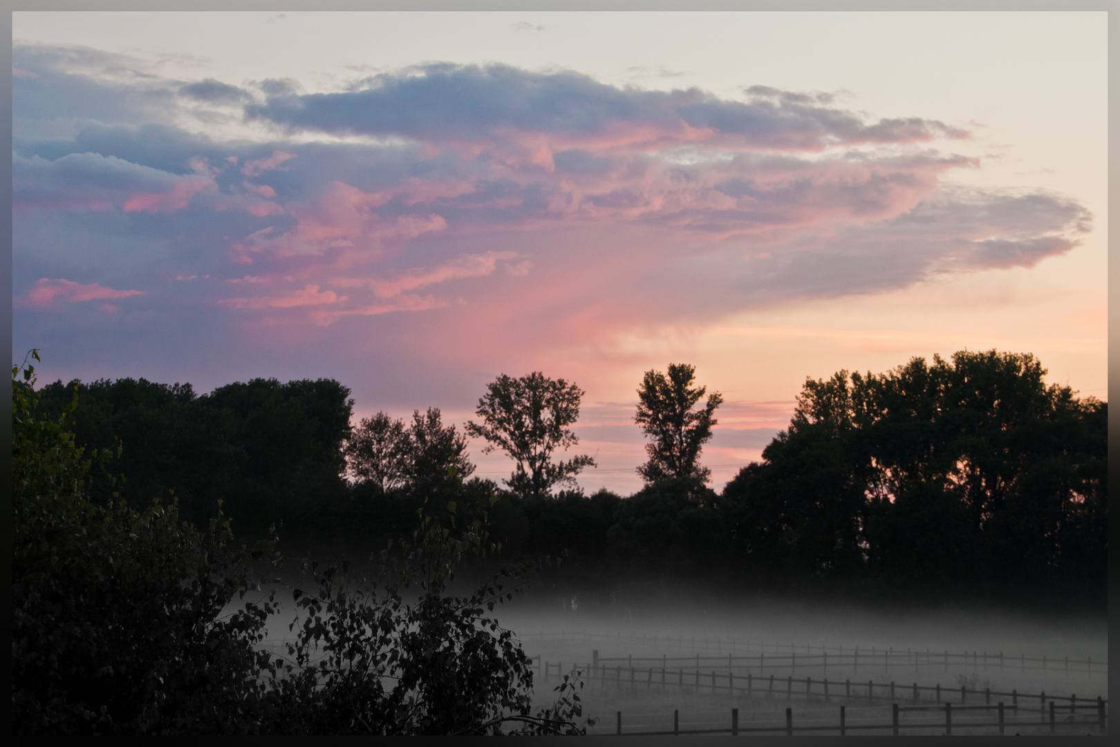 Feld im Nebel