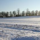 Feld im Schneekleid