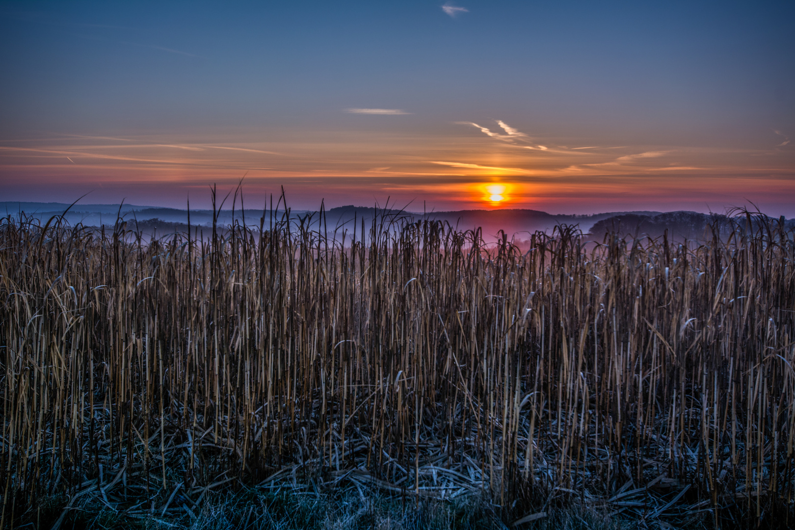 Feld im Sonnenaufgang 