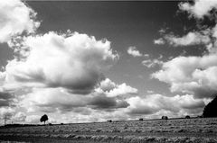 Feld im Vogtland/Pfaffenfrün