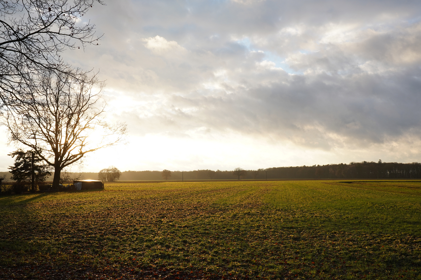 Feld im Winter