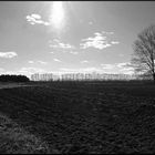 Feld im Winter