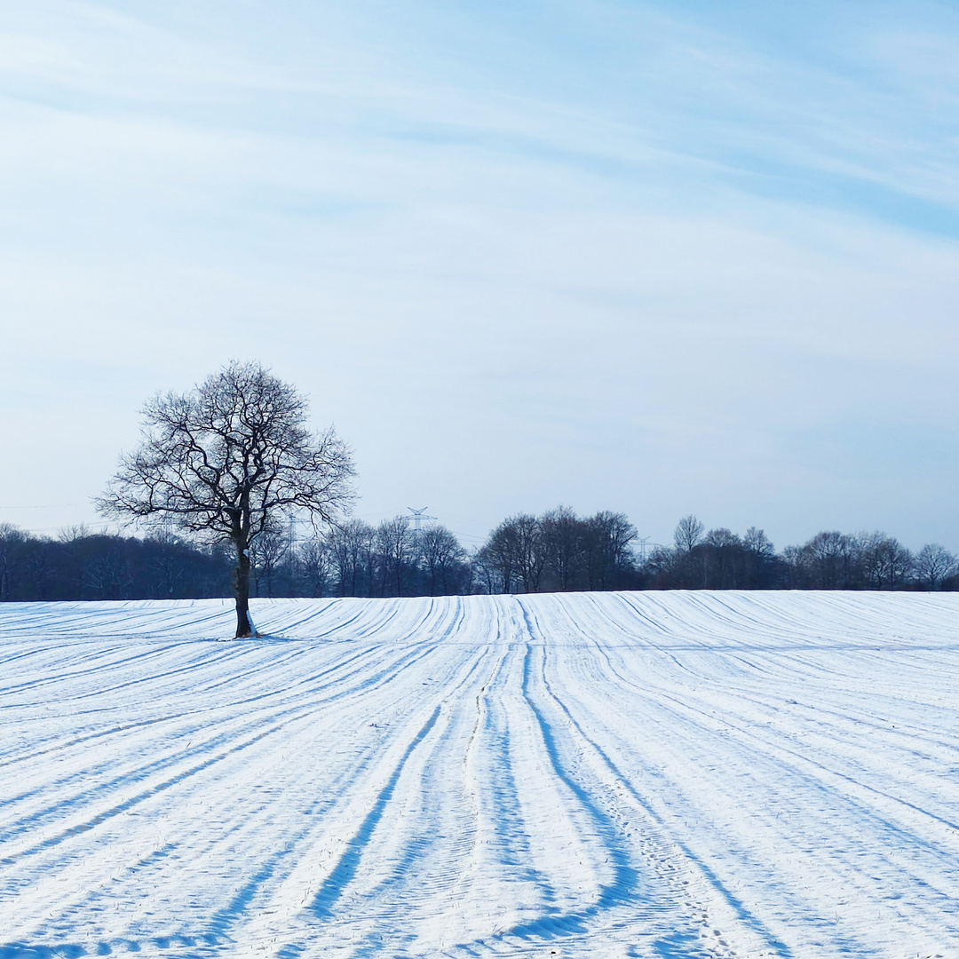 Feld im Winter nahe des Owschlager Moores