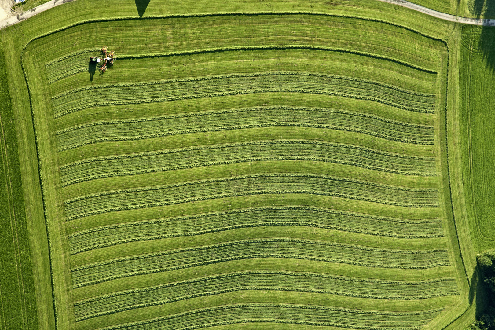 Feld in Bearbeitung