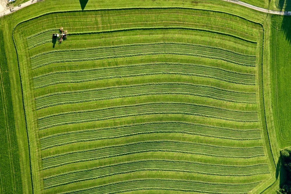 Feld in Bearbeitung von Christoph Koelle 