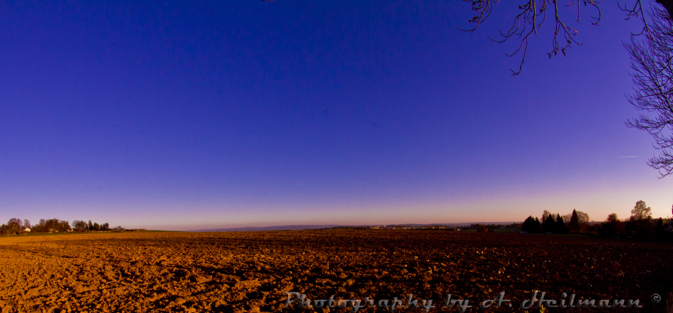 Feld in der Abendsonne