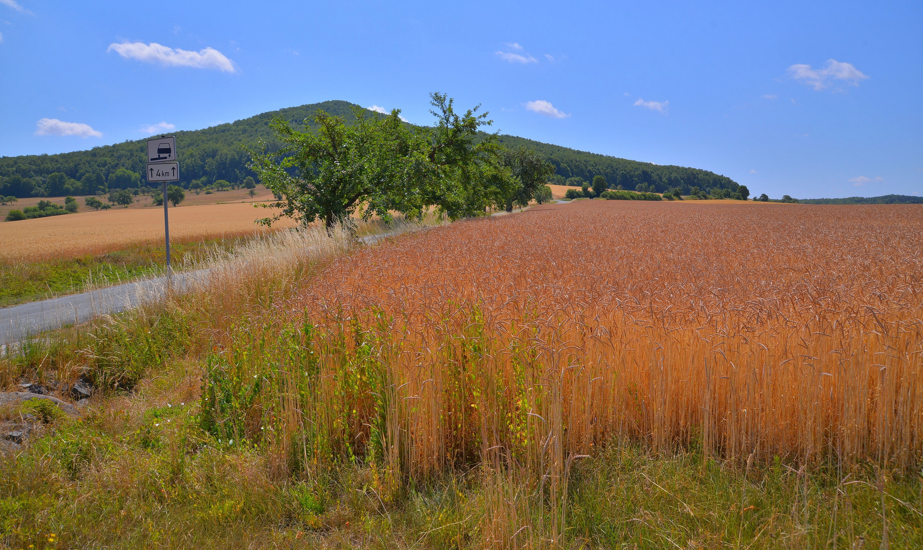 Feld in der Mittagshitze