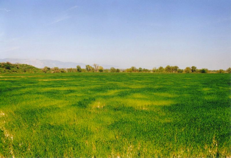 Feld in der SW-Türkei