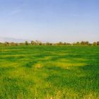 Feld in der SW-Türkei