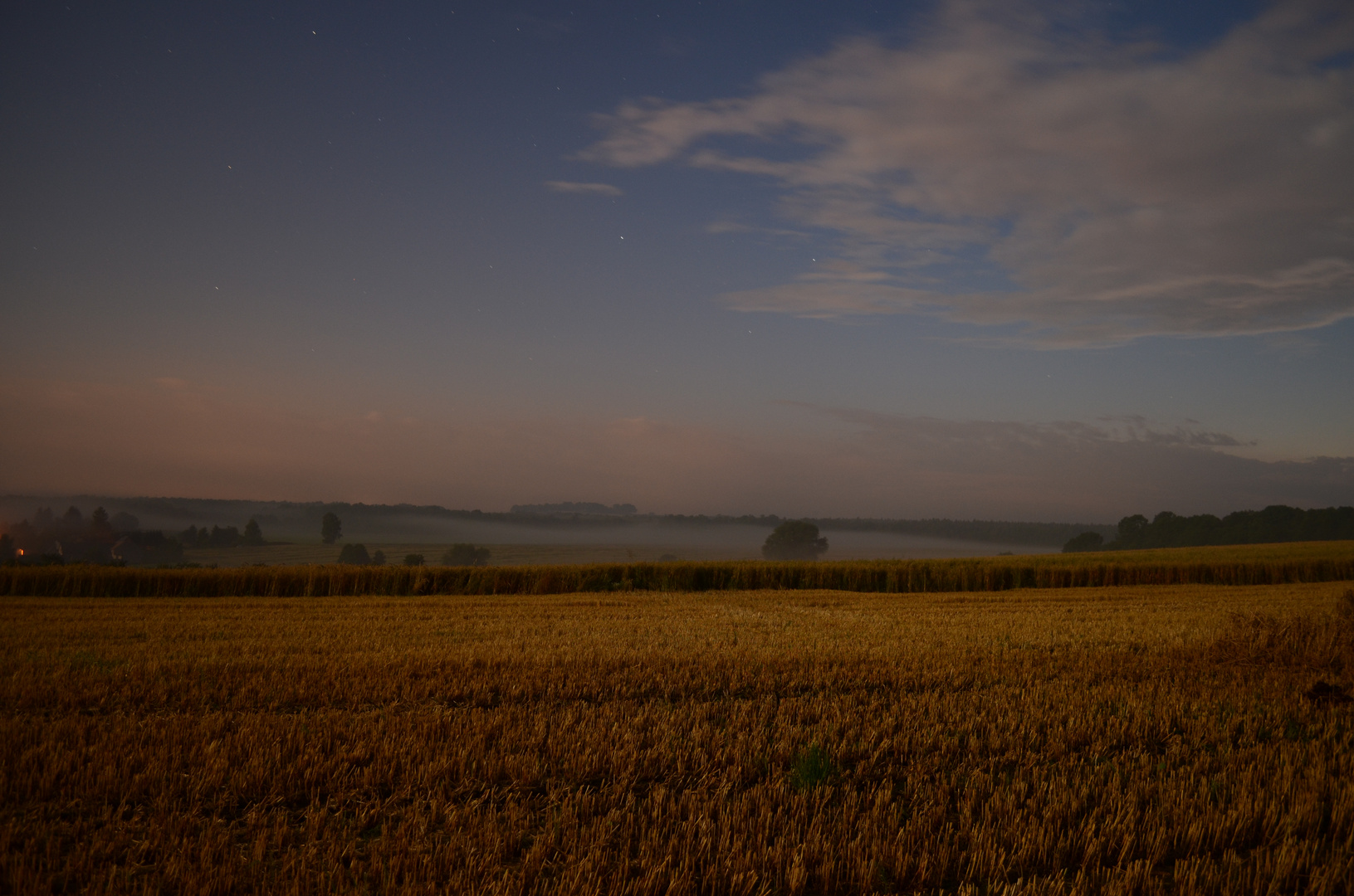 Feld in einer hellen Nacht