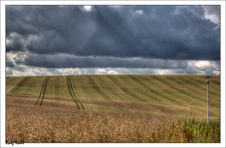 Feld in Gera Bieblach