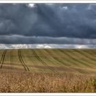 Feld in Gera Bieblach