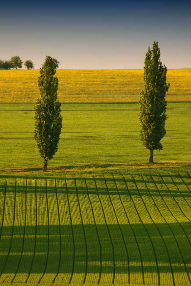 Feld in Limburg by NataschaWagner