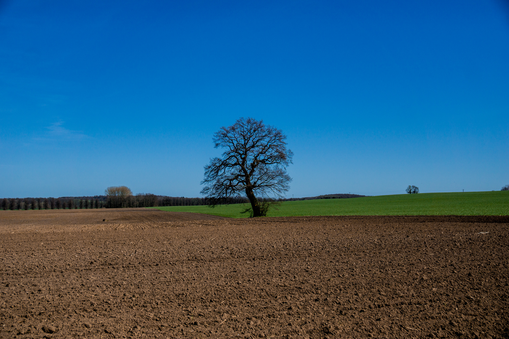 Feld in Mecklenburg