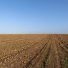 Feld küsst Himmel