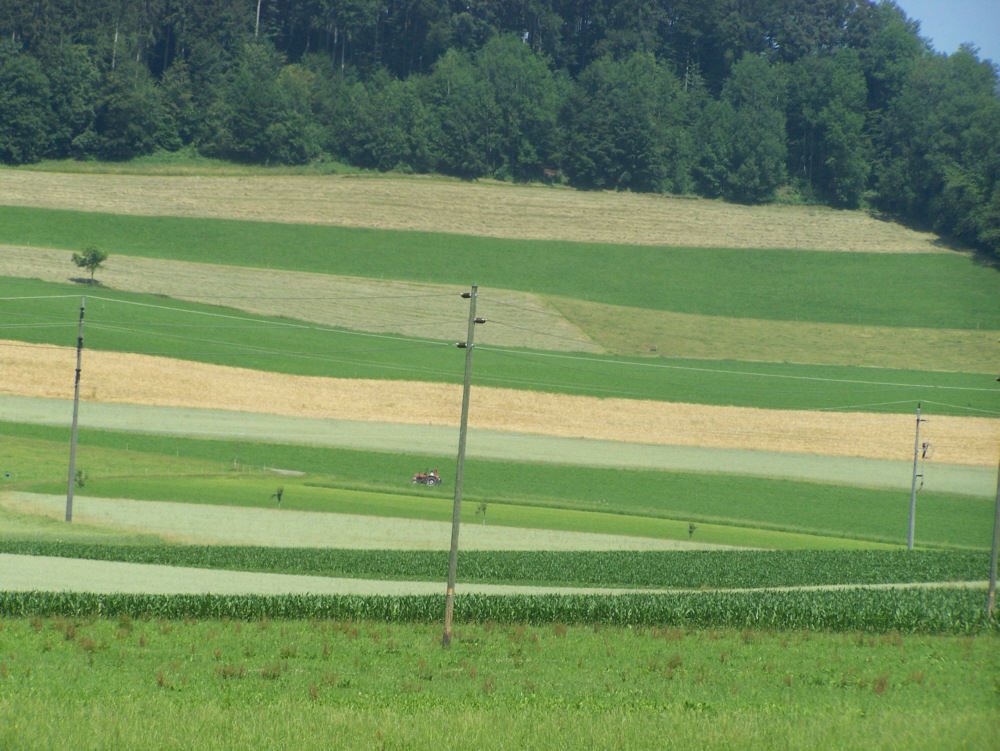 Feld Landschaft