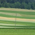 Feld Landschaft