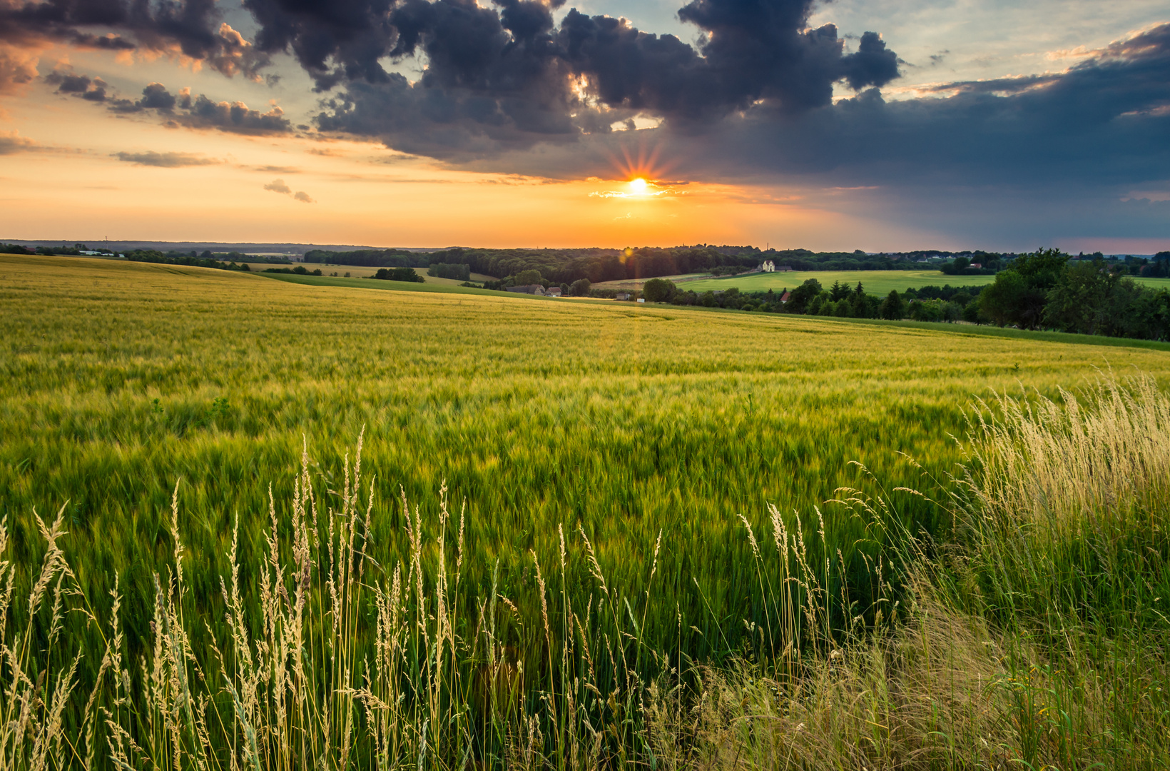 Feld Leuchten 