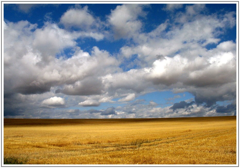 Feld, Licht, Wolken