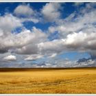 Feld, Licht, Wolken