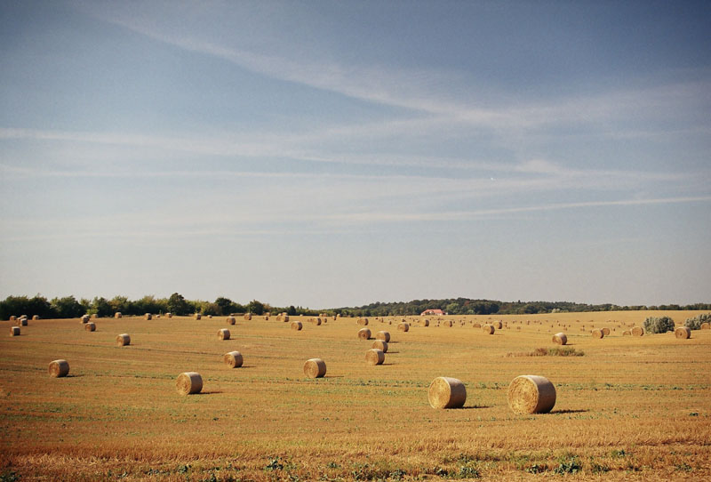 Feld mit Ballen