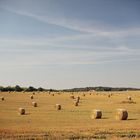 Feld mit Ballen