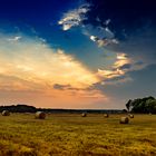 Feld mit Ballen bei Sonnenuntergang