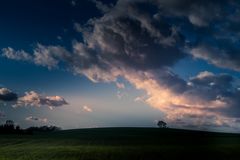 Feld mit Baum