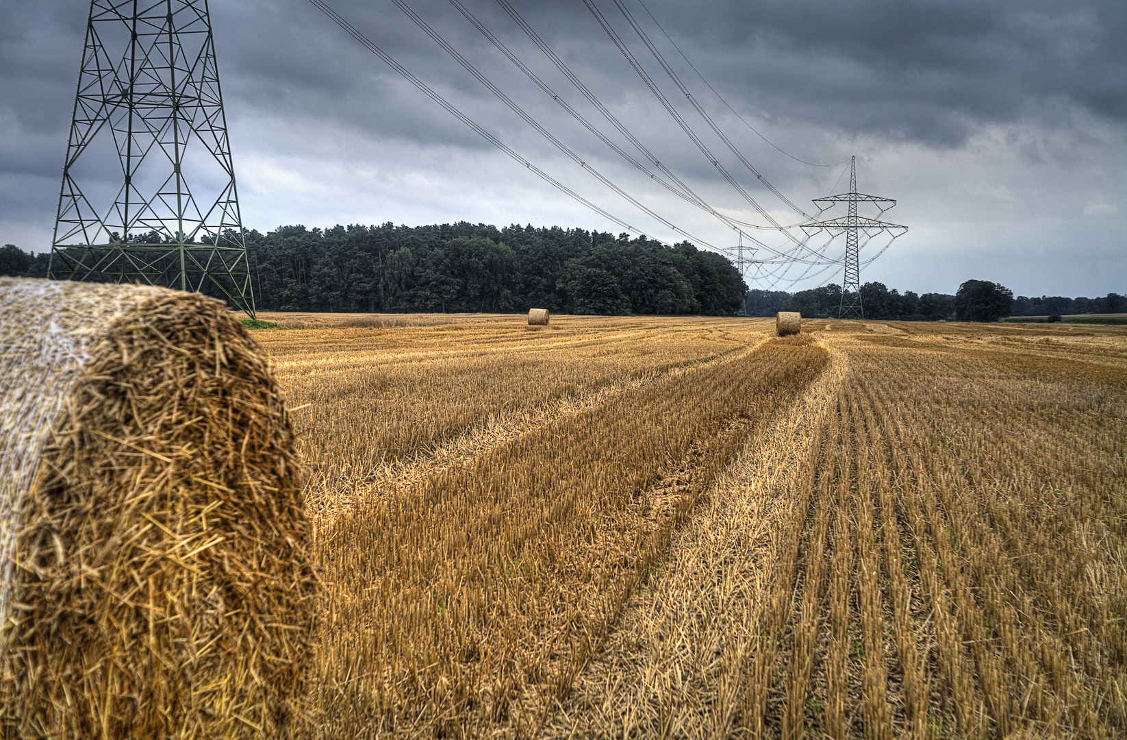 Feld mit der Canon 5d und Carl Zeiss