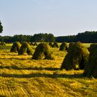 Feld mit Heuhaufen