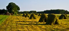 Feld mit Heuhaufen