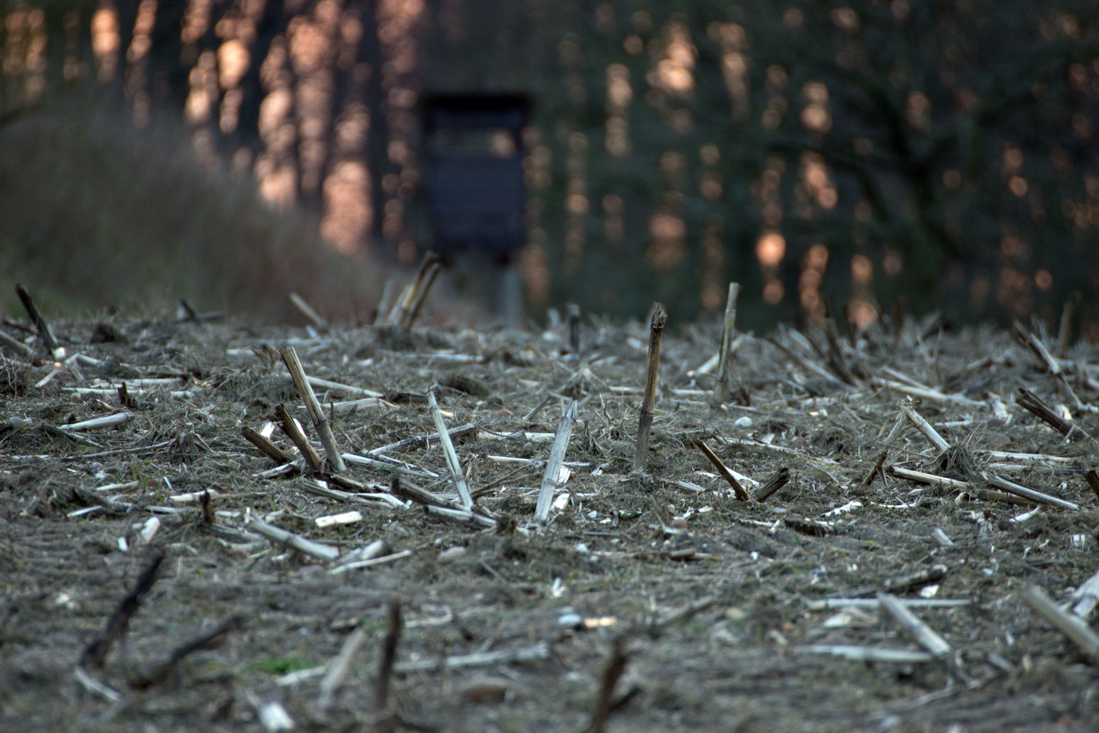 Feld mit Jägerstuhl