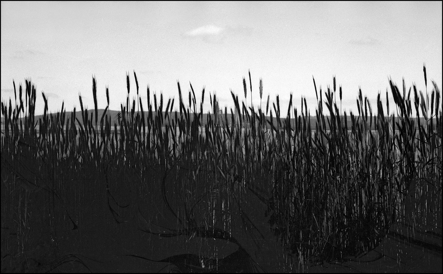 Feld mit kleinen Wolken