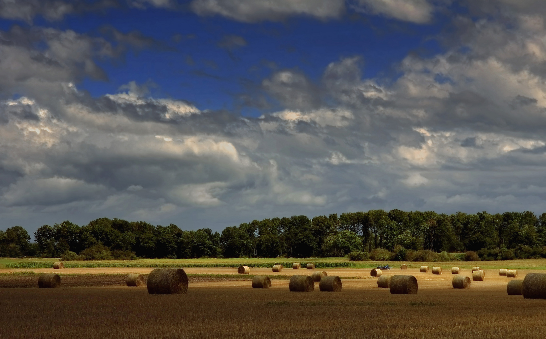 Feld mit Rollen