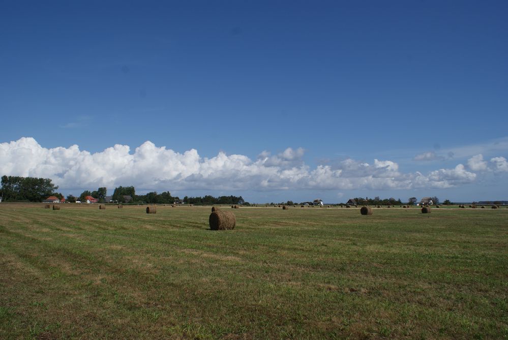 Feld mit rollen von Fusslbürste 