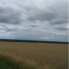 Feld mit Streifen und Himmel