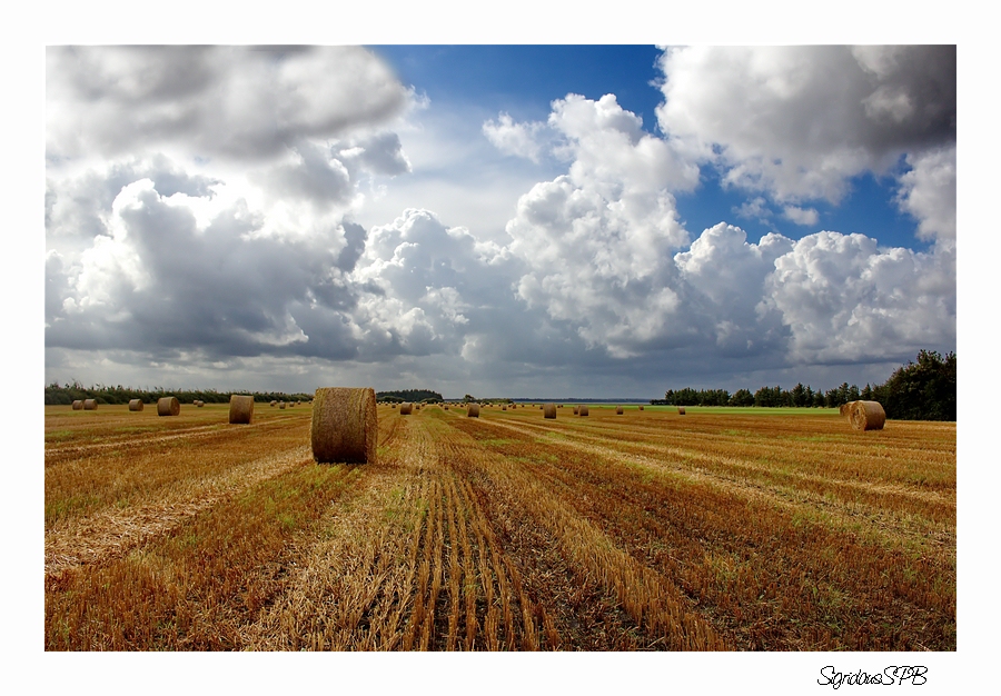 Feld mit Strohballen....