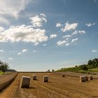 Feld mit Strohballen