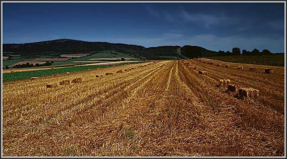 Feld mit Strohballen