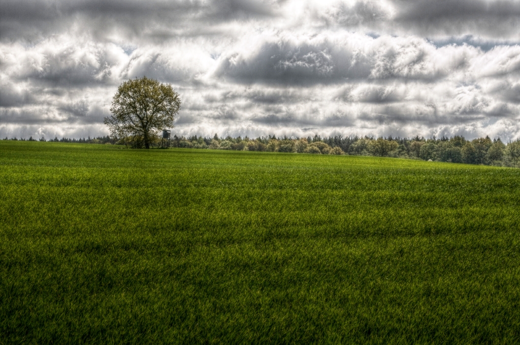 Feld mit Wolken