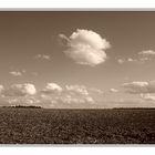 Feld mit Wolken