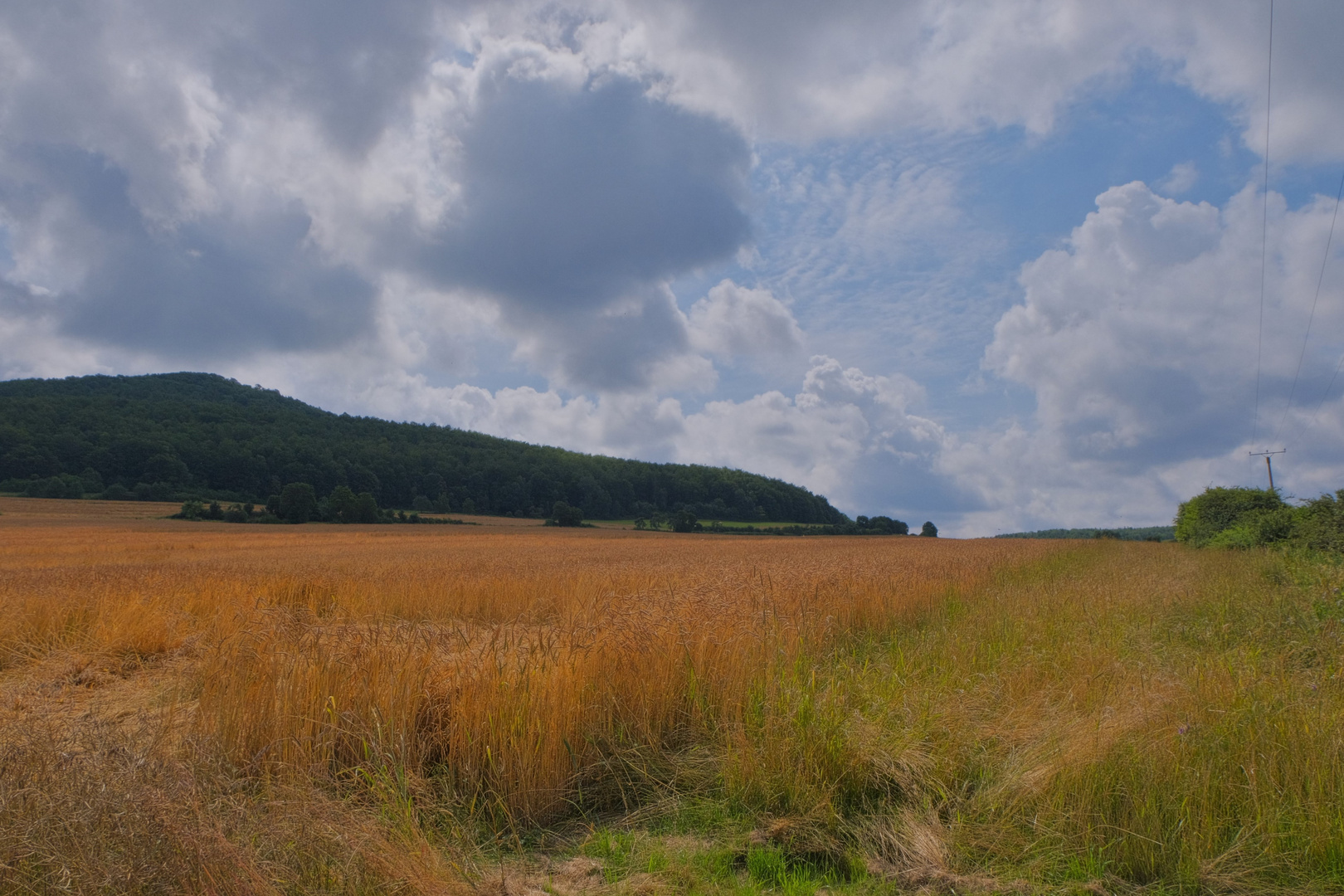 Feld, mittags (campo, mediodía)