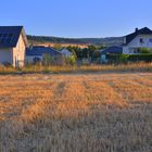 Feld nach der Ernte heute morgen