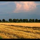 Feld nach Gewitter