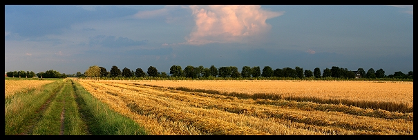 Feld nach Gewitter