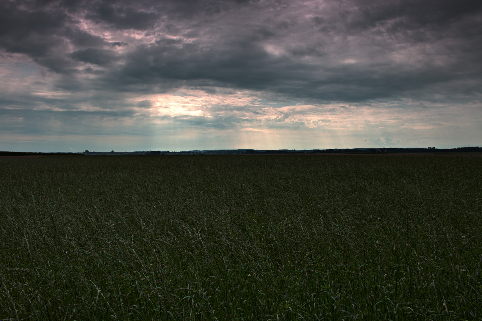 Feld nach Wolkenbruch