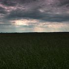 Feld nach Wolkenbruch