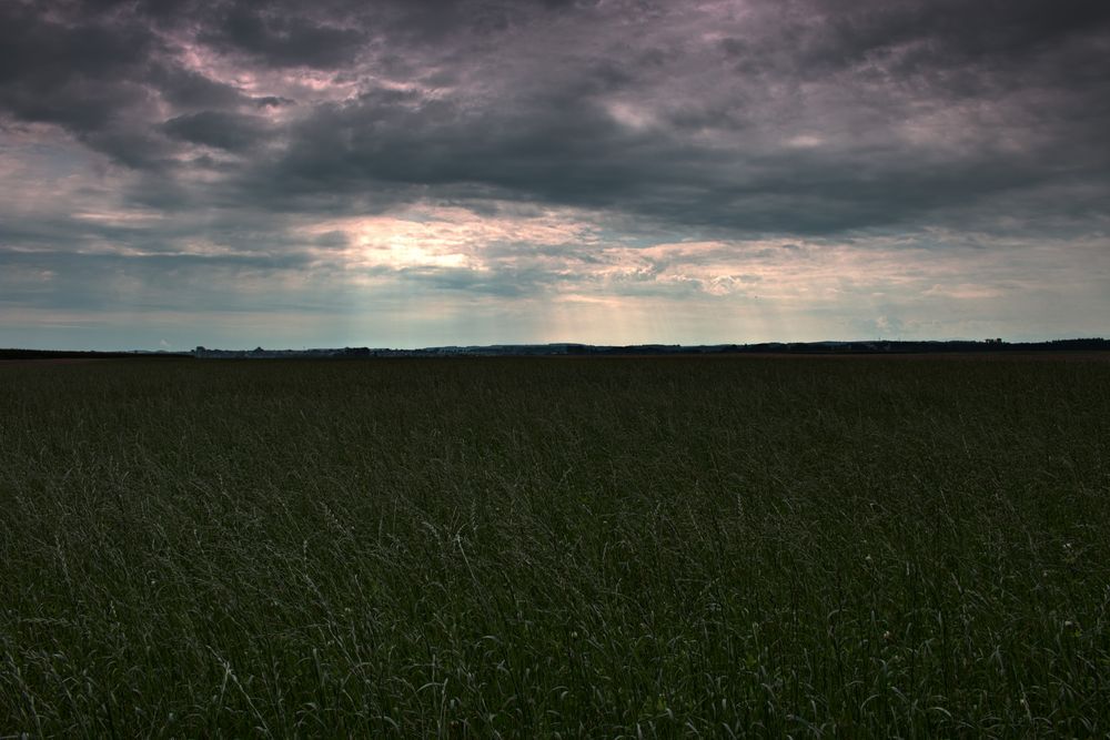 Feld nach Wolkenbruch