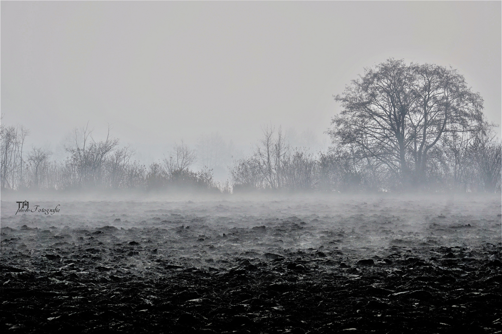 Feld Nebel