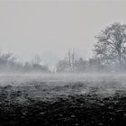 Feld Nebel